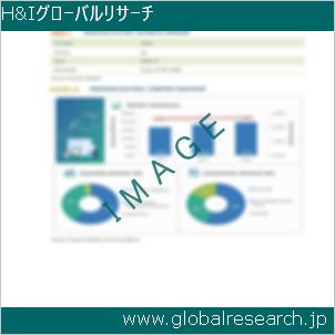 グローバルリサーチ調査レポートのイメージ